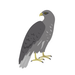 Cartoon bird kite icon on white background.
