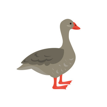 Cartoon goose icon on white background.