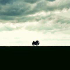 Fototapeta premium Minimalist single tree silhouette. Concept of loneliness, depression, escape, friendship, support, care, marriage. Nature background with copy space. Two trees alone against cloudy sky