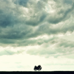 Minimalist single tree silhouette. Concept of loneliness, depression, escape, friendship, support,...