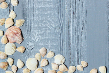 original a frame for the text of the seashells on blue wooden background