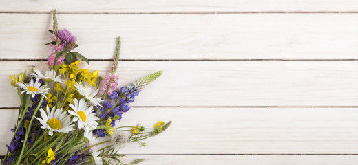 Wild flowers on old grunge white wooden background (chamomile lupine dandelions thyme mint bells rape)