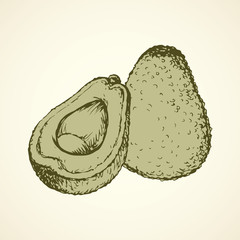 Avocado. Vector drawing