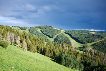 Sun shining on green trees in valley