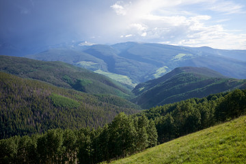 Obraz premium Green forested valley in Colorado during summer