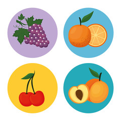 delicious fruits healthy food vector illustration design