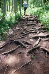 Man hiking on a forest trail with roots