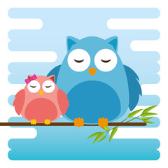 cute owls father and son characters vector illustration design