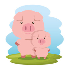 cute pigs father and son characters vector illustration design