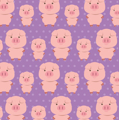 Obraz premium cute pigs father and son characters pattern vector illustration design