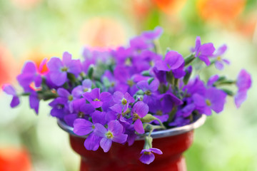Bouquet of delicate violet flowers in small pot