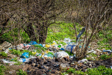 Pile of garbage in forest under  trees. Environmental pollution. Problems of ecology