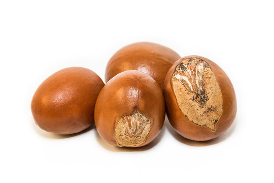 Shea nuts. Vitellaria paradoxa
