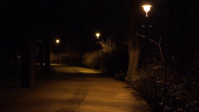 A dimly lit deserted alley in a park in the night