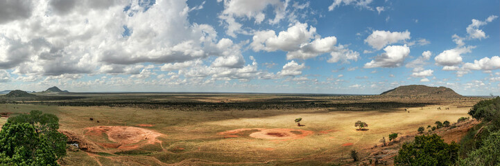 Obraz premium High resolution panorama of flat African savanna with dramatic clouds. Tsavo East national park, Kenya