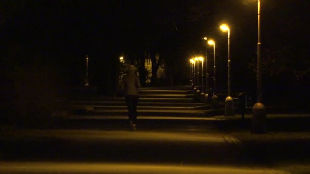 A jogger jogs along a dimly lit alley in a park in the night