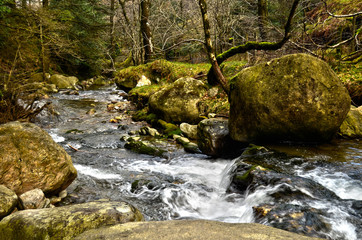 Ireland - Mountains - Forest - River
