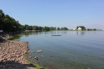 Summer landscape Gulf of Finland near Peterhof