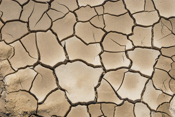 dry cracked ground surface