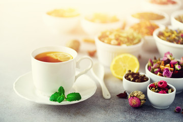 Tea concept with copy space. Different kinds of dry tea in white ceramic bowls and cup of aromatic tea on grey background.