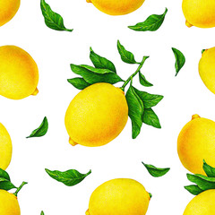 Illustration of beautiful yellow lemon fruits on a branch with green leaves isolated on white background. Water color drawing seamless pattern for design