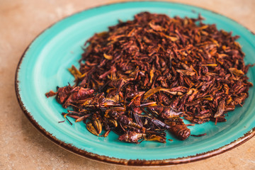 Fototapeta premium Chapulin