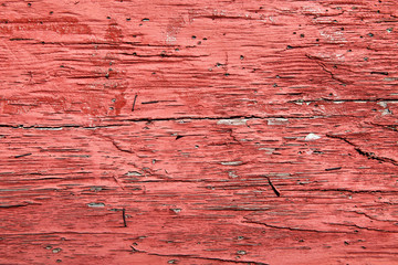 Structure of old red painted wood board. Close up of wooden texture