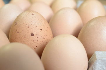 Brown eggs with one freckled egg in a cardboard tray.