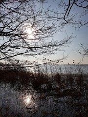 Brzeg jeziora © michalsen