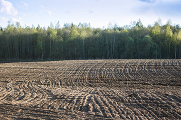 Obraz premium Plowed field. Agricultural land near the forest.