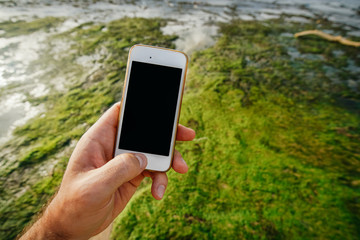White Phone smartphone in the hand of a man with an empty black screen on the background of the coastline at low tide and green algae. Environment protection. Summer leisure.