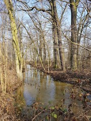 Rozlewisko © michalsen