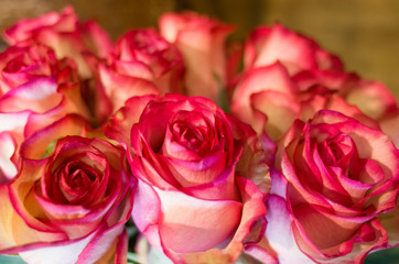 bouquet de roses