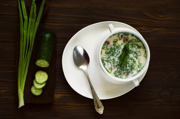 Russian traditional cold soup