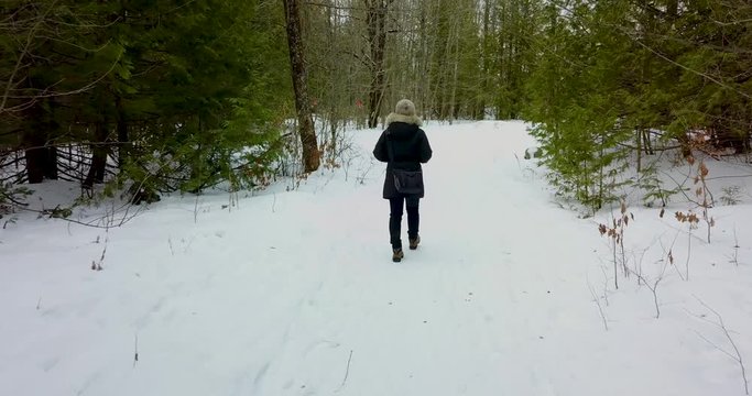 Following drone shot of a young woman walking in a snowy forest, dog runs by.  4K.