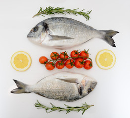 Two fresh dorada fishes with tomatoes, lemon and rosemary on white background