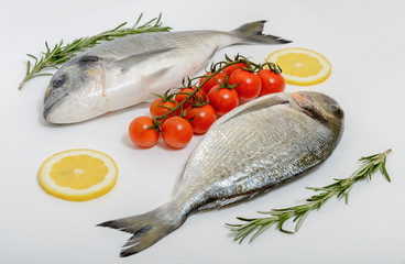 Two fresh dorada fishes with tomatoes, lemon and rosemary on white background