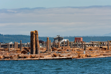 Lumber industry on Vancouver Island