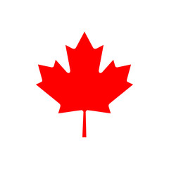 Maple leaf, the symbol of Canada. Vector illustration