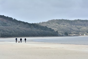 Des gens se promènent sur la plage avec leurs chiens en Bretagne