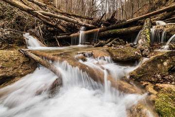 Forest waterfall and rocks in the mountain forest.