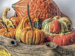 Autumn still life