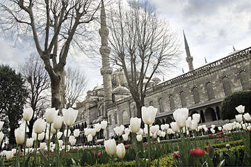 Sultan Ahmet in Istanbul