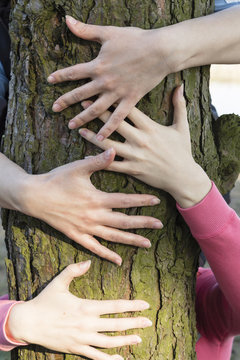 Men's and woman's hands hugging a tree.
