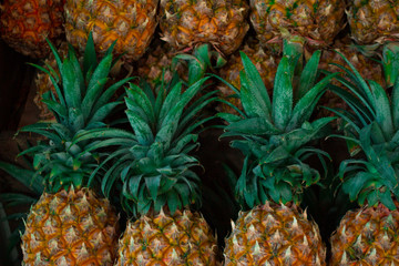 Rows of pineapples on the fruit counter in Thailand. Colorful pattern, backround.