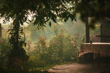 Early morning in garden with dew and mist.