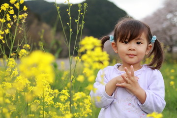 幼児(3歳児)と菜の花