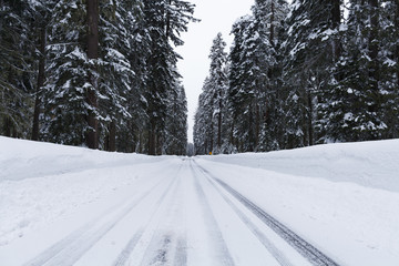 Snowy road with icy conditions