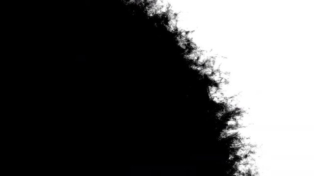 Black ink spreading on white background with an amazingly detailed bleed effect. This footage can be used as a transition or reveal for your photo and video slideshows