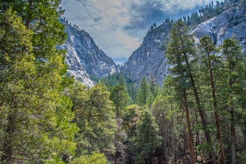 Fototapeta na wymiar Landscape of Yosemite National Park 
